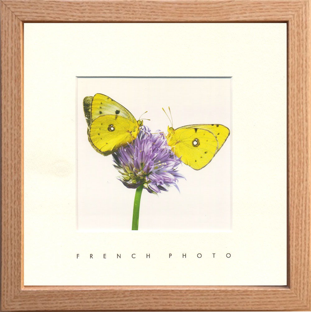 【個人宅配送不可】French Photography