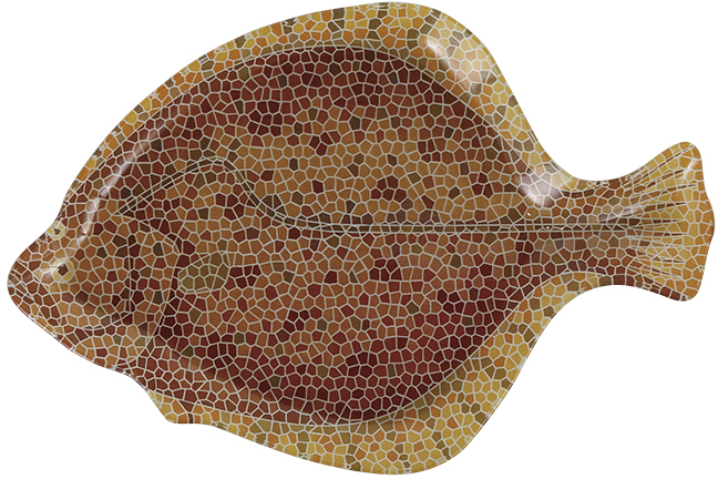 ylzszyʓrzGLASS FISHERY PLATE