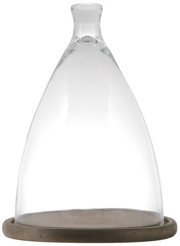 ylzszyʓrzGLASS CLOCHE  L