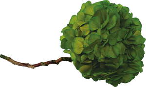 VermontPjAAWTC@n[uO[