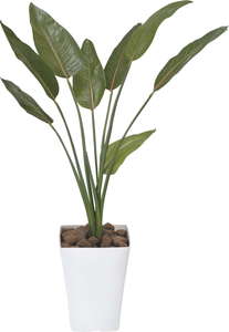 【メーカー仕様切替の為廃盤】【送料別途】ストレチア 1.1