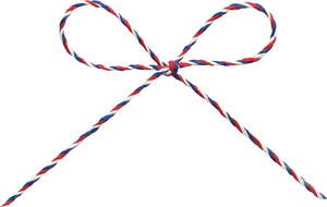 トリプルヤーン 約1X50m 色番1