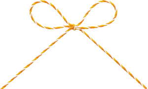 トリプルヤーン約1X50M