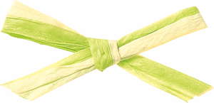 ペーパーラフィアW 91m2色巻 色番2