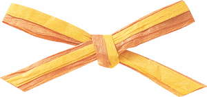 ペーパーラフィアW 91m2色巻 色番4