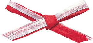 ペーパーラフィアW 91m2色巻 色番19