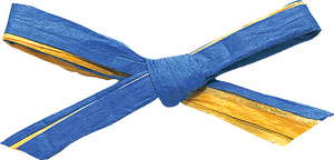 ペーパーラフィア・W約5X91M2ショクマキ