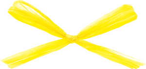 ラフィットヤーン 91m 色番2