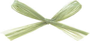 ラフィットヤーン 91m 色番11