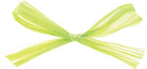 ラフィットヤーン 91m 色番27