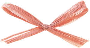 ラフィットヤーン 91m 色番64