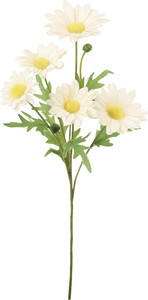 マーガレットスプレー