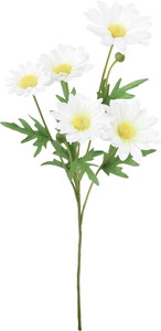 マーガレットスプレー