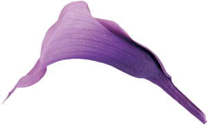 Verdissimo�~�j�J���[ ��