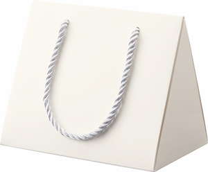 【廃番】ハンディバッグBOX/25コ