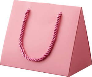 【廃番】ハンディバッグBOX/25コ