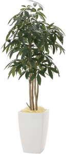 【メーカー仕様切替の為廃盤】【送料別途】ア-バンパキラ1.8