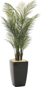 【メーカー仕様切替の為廃盤】【送料別途】ア-バンアレカパ-ム1.7