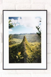 �y�l��s�z̫����٥����