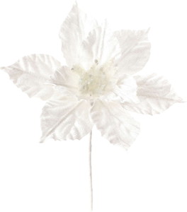 生写真用 Amazon | 写真L判 スリーブ ぴったり 生写真 OPP袋 テープなし