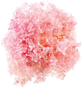 ����� ��ݸ