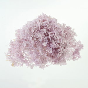 ����� ײׯ�