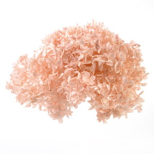 ����� ײ���ݸ