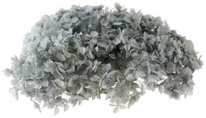 ����� �߰���ٰ