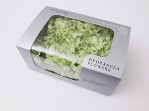 �����Я�ޱ�޻�