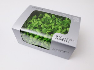 �����Я�ޱ�޻�