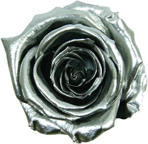 ｼﾞｭｴﾙﾛｰｽﾞ ﾌﾞﾛﾝｽﾞ: プリザーブドフラワー ｜ YDMオンラインストア