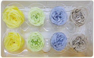 PMナナガーデンローズ アソートアースパレット