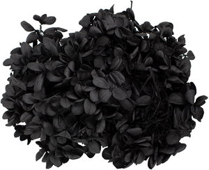 GP���Яı�޻���ׯ�