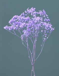 ��Б�����ް��� �߰���