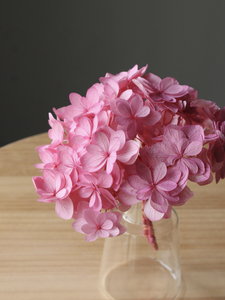 �Ђȱ�޻� ��ݸ