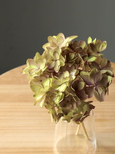 �Ђȱ�޻� �ڶ���߰���