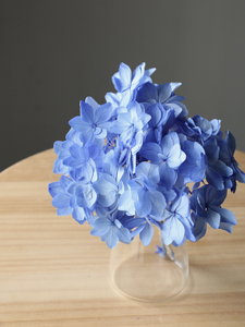 �Ђȱ�޻� ��ٰ