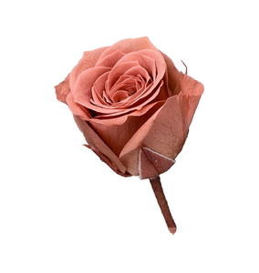 ���ޱ� ��ݸӶ