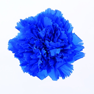 ��Ȱ��� ���ި����ٰ