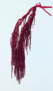 �ӹ޲ĳ ܲ�گ��