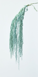 �ӹ޲ĳ н���ٰ