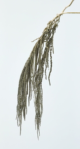 �ӹ޲ĳ �߰ٸ�ڰ