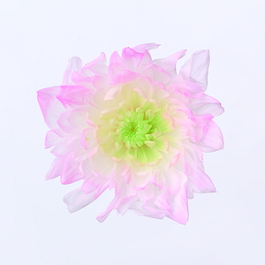 ことね菊・ほのか ピンク