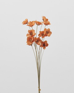 アネモネフラワー オレンジ