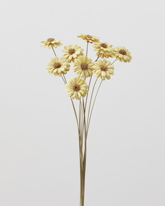 ϰ��گ���ܰ Ӱ�ݸ޲�۰