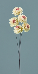 ��װ��Ʊ ��/��ݸ