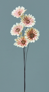 ��װ�޲�ް ��/��ݸ