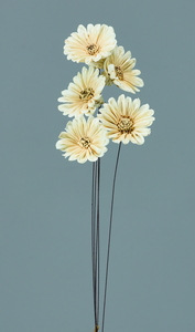 ��װ�޲�ް ��/��׳�