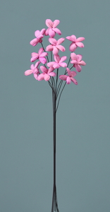 ��װ�ެ��� ��ݸ