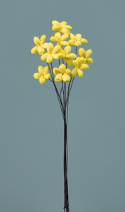 ��װ�ެ��� ��۰